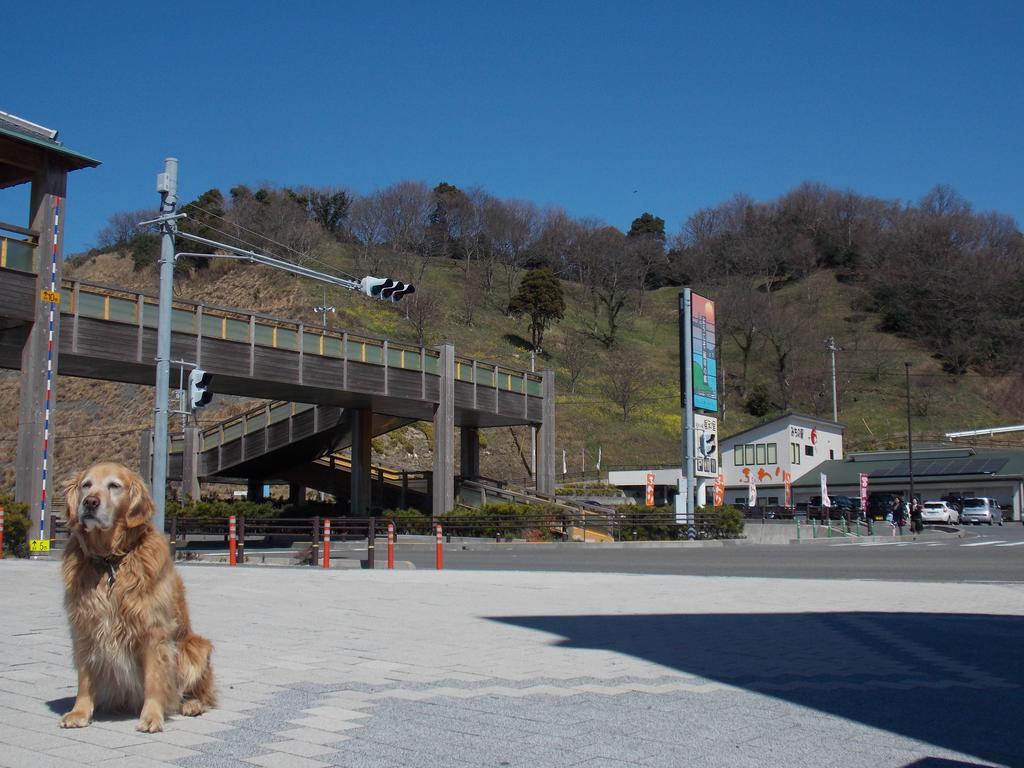 Hojo Suigun Youth Hostel Matsuyama  Exteriör bild
